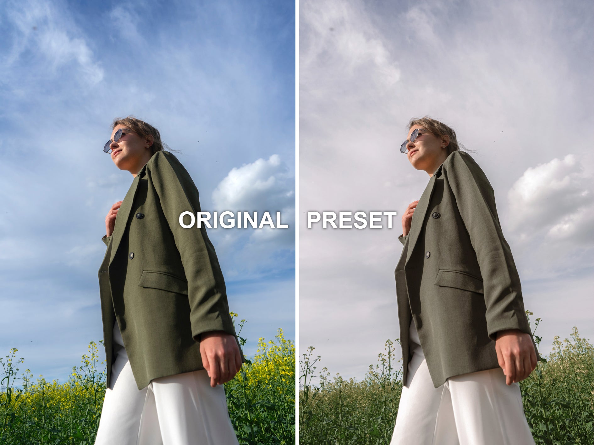10 OLIVE Lightroom Presets