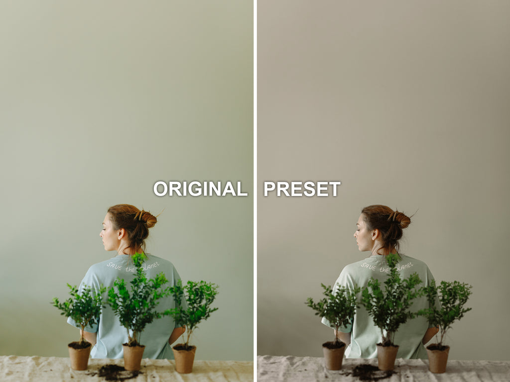10 OLIVE Lightroom Presets