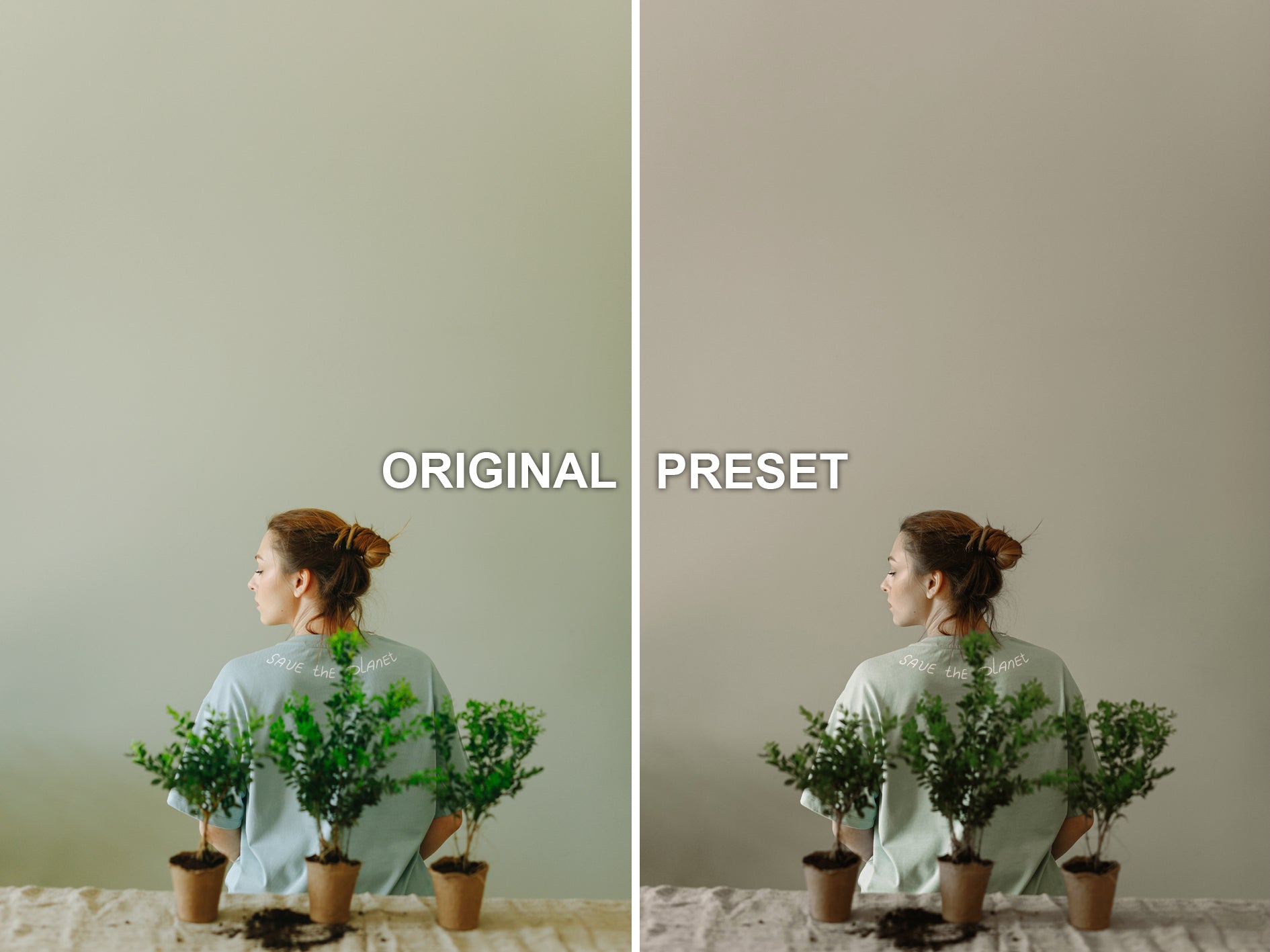 10 OLIVE Lightroom Presets