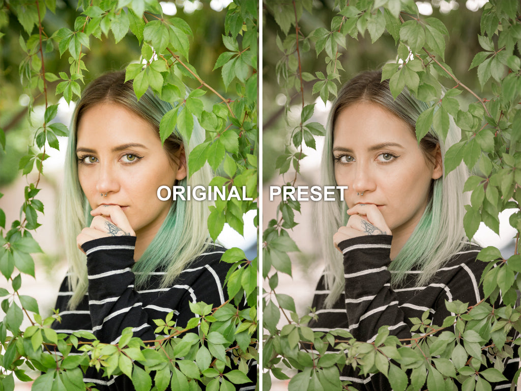 10 OLIVE Lightroom Presets