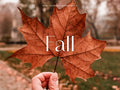 10 FALL Lightroom Presets