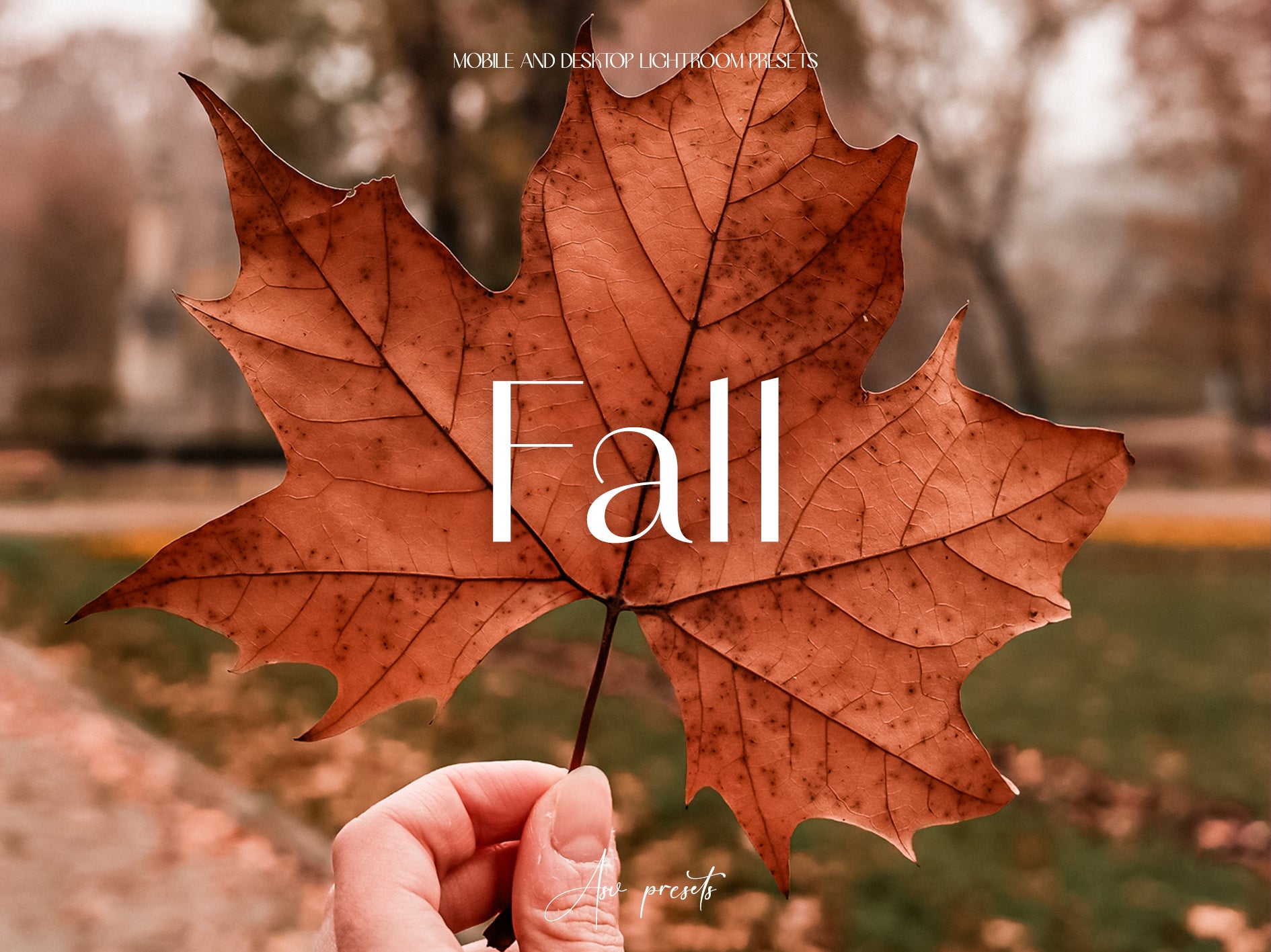 10 FALL Lightroom Presets