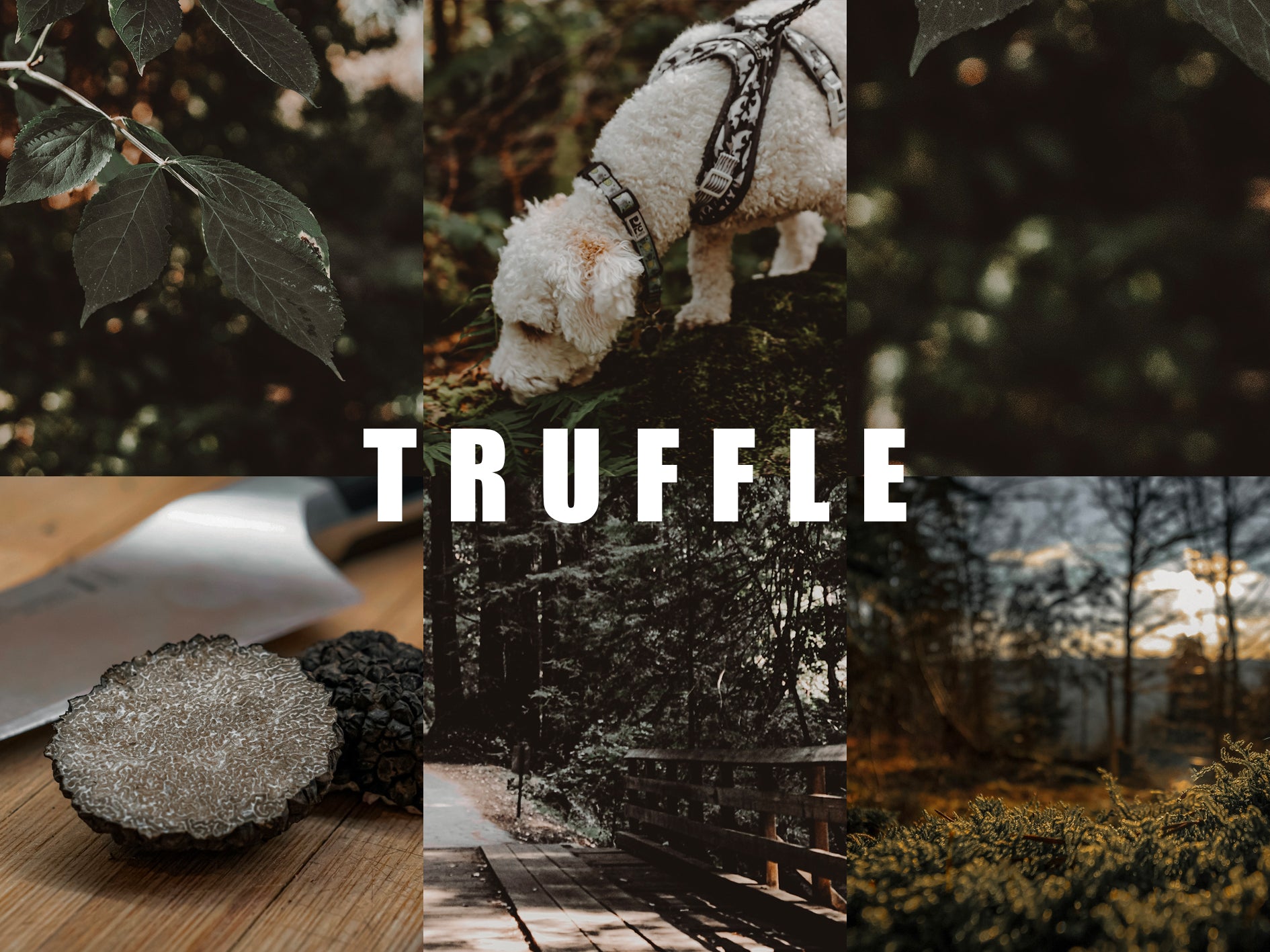 10 TRUFFLE Lightroom Presets