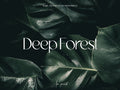 10 DEEP FOREST Lightroom Presets