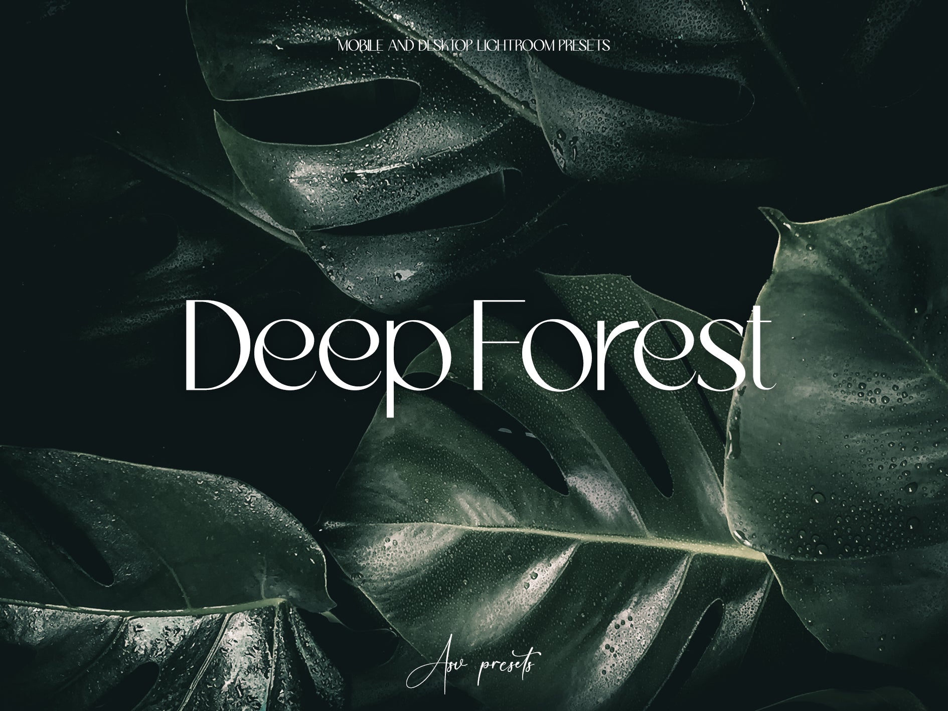 10 DEEP FOREST Lightroom Presets