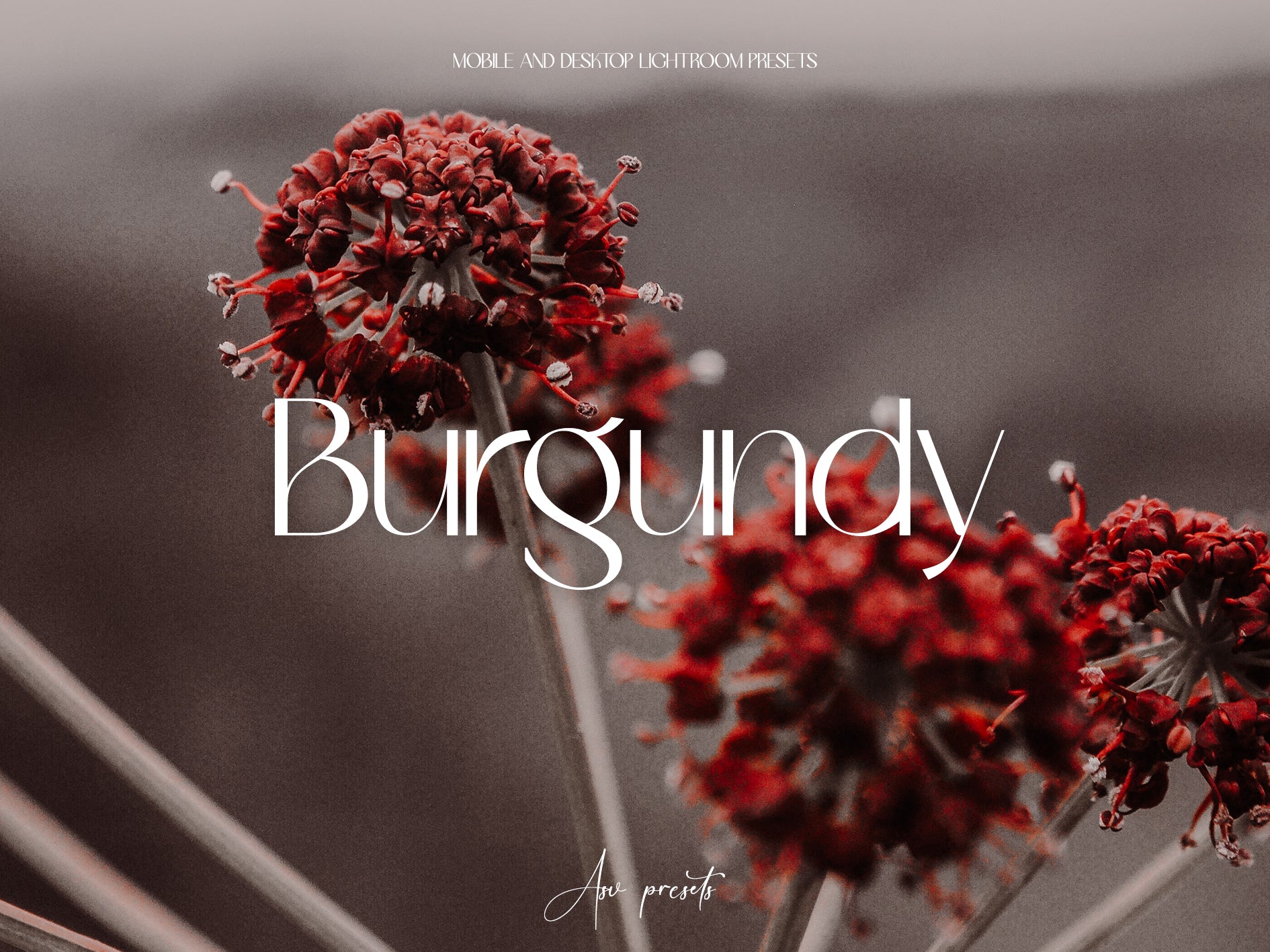 10 BURGUNDY Lightroom Presets