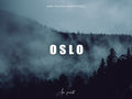10 OSLO Lightroom Presets
