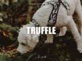 10 TRUFFLE Lightroom Presets