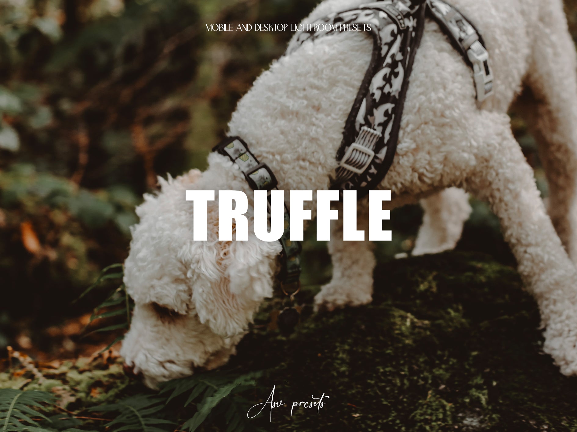 10 TRUFFLE Lightroom Presets