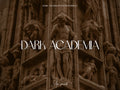 10 DARK ACADEMIA Lightroom Presets