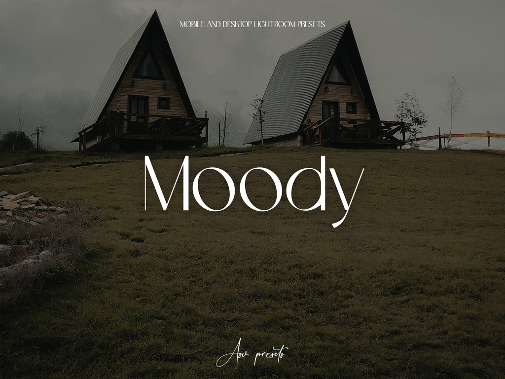10 MOODY Lightroom Presets