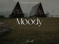 10 MOODY Lightroom Presets