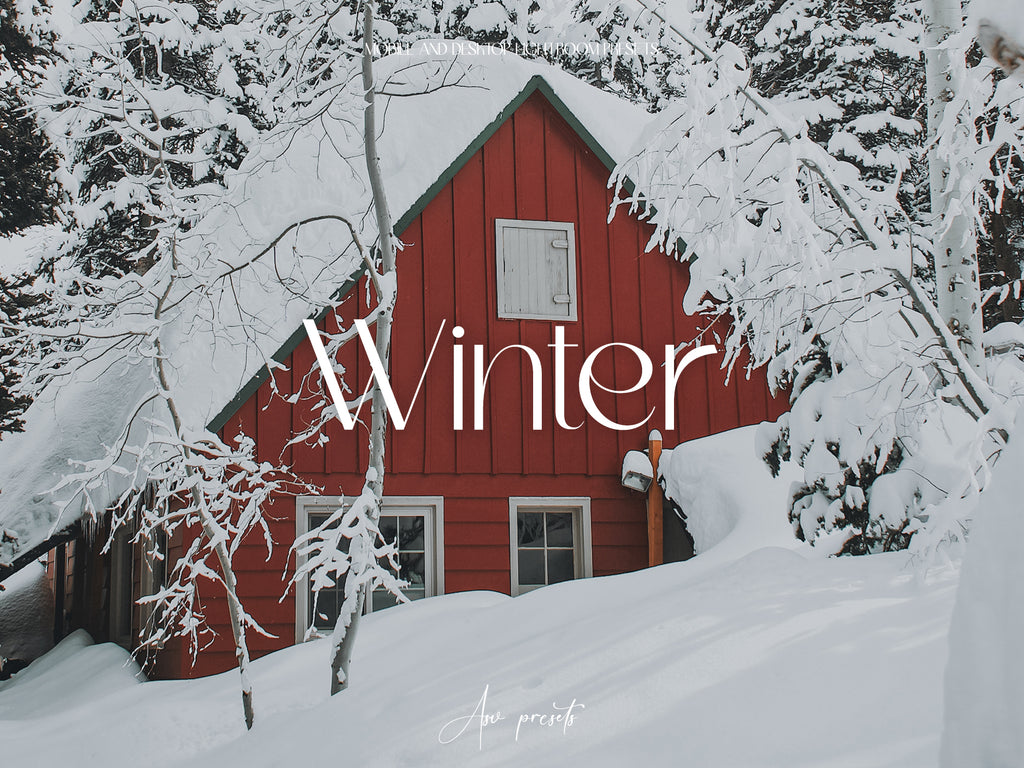 10 WINTER Lightroom Presets