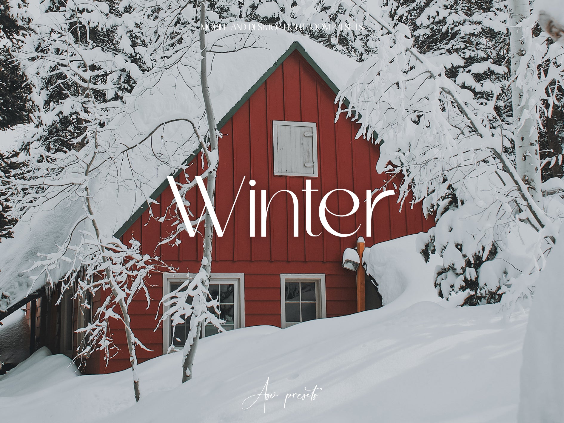 10 WINTER Lightroom Presets