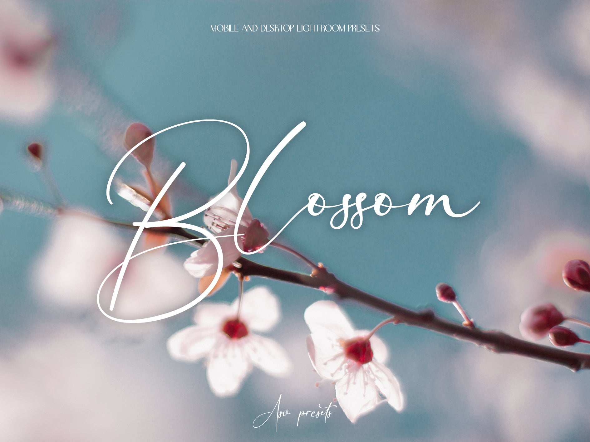 10 BLOSSOM Lightroom Presets