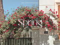 10 SPRING Lightroom Presets