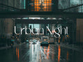10 URBAN NIGHT Lightroom Presets