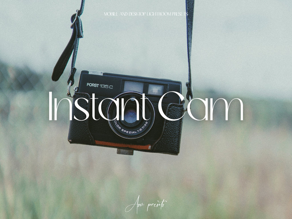 10 INSTANT CAM Cold Lightroom Presets