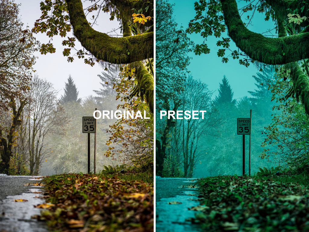 10 TWILIGHT Lightroom Presets