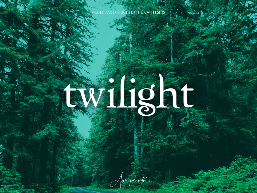 10 TWILIGHT Lightroom Presets