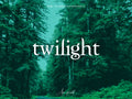 10 TWILIGHT Lightroom Presets