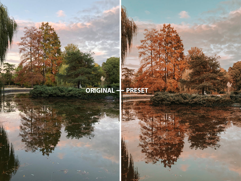 10 AUTUMN Lightroom Presets