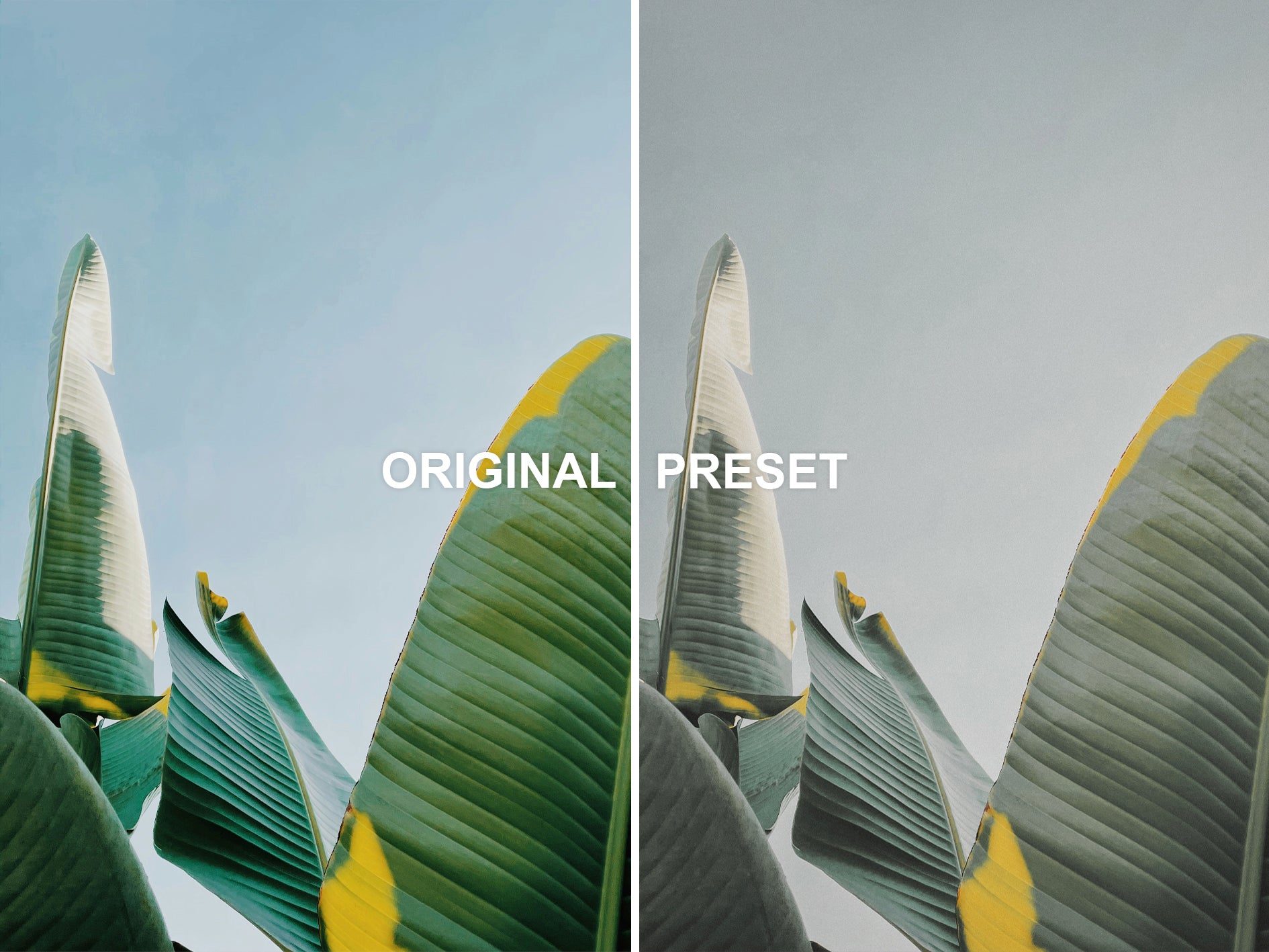 10 BOHEMIAN Lightroom Presets