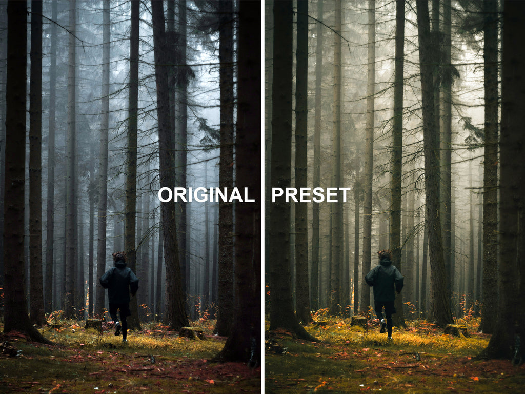 10 TWILIGHT - New Moon Lightroom Presets