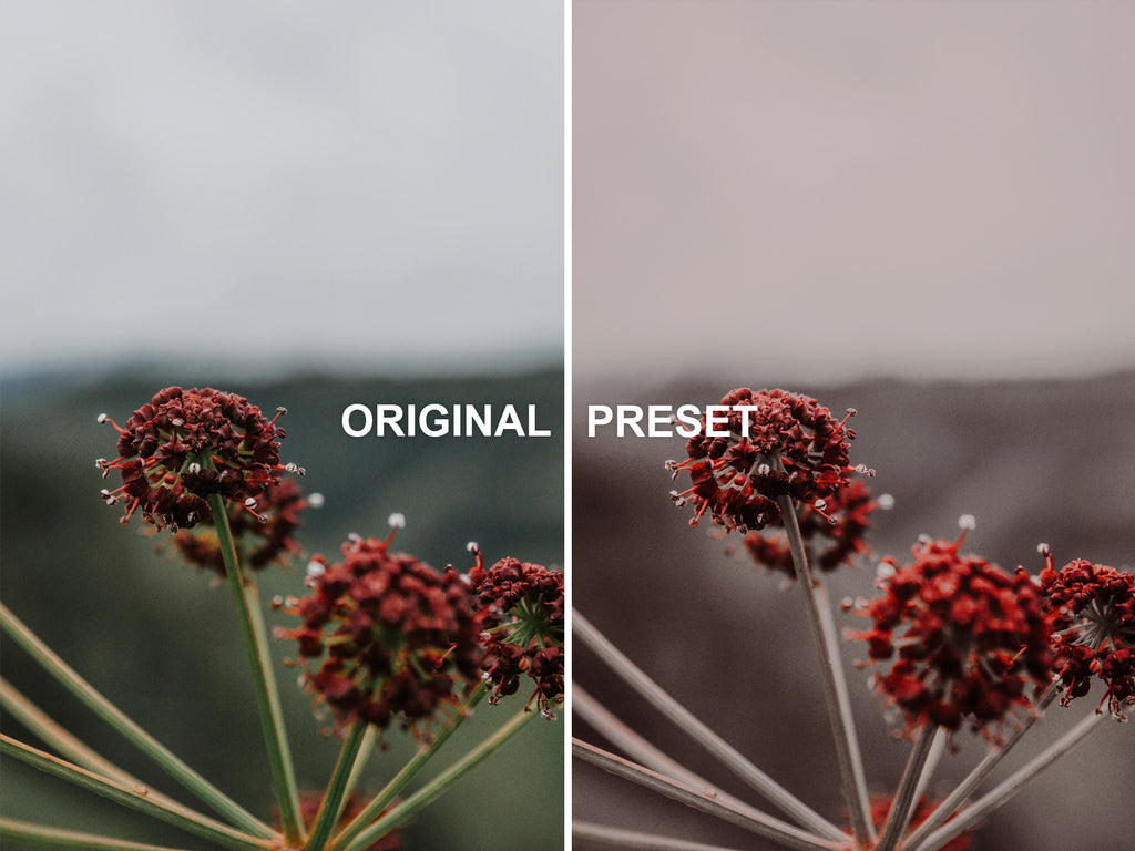 10 BURGUNDY Lightroom Presets