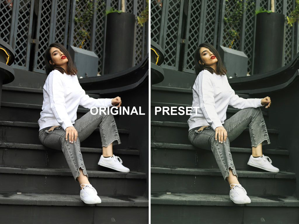 10 SAFARI Lightroom Presets