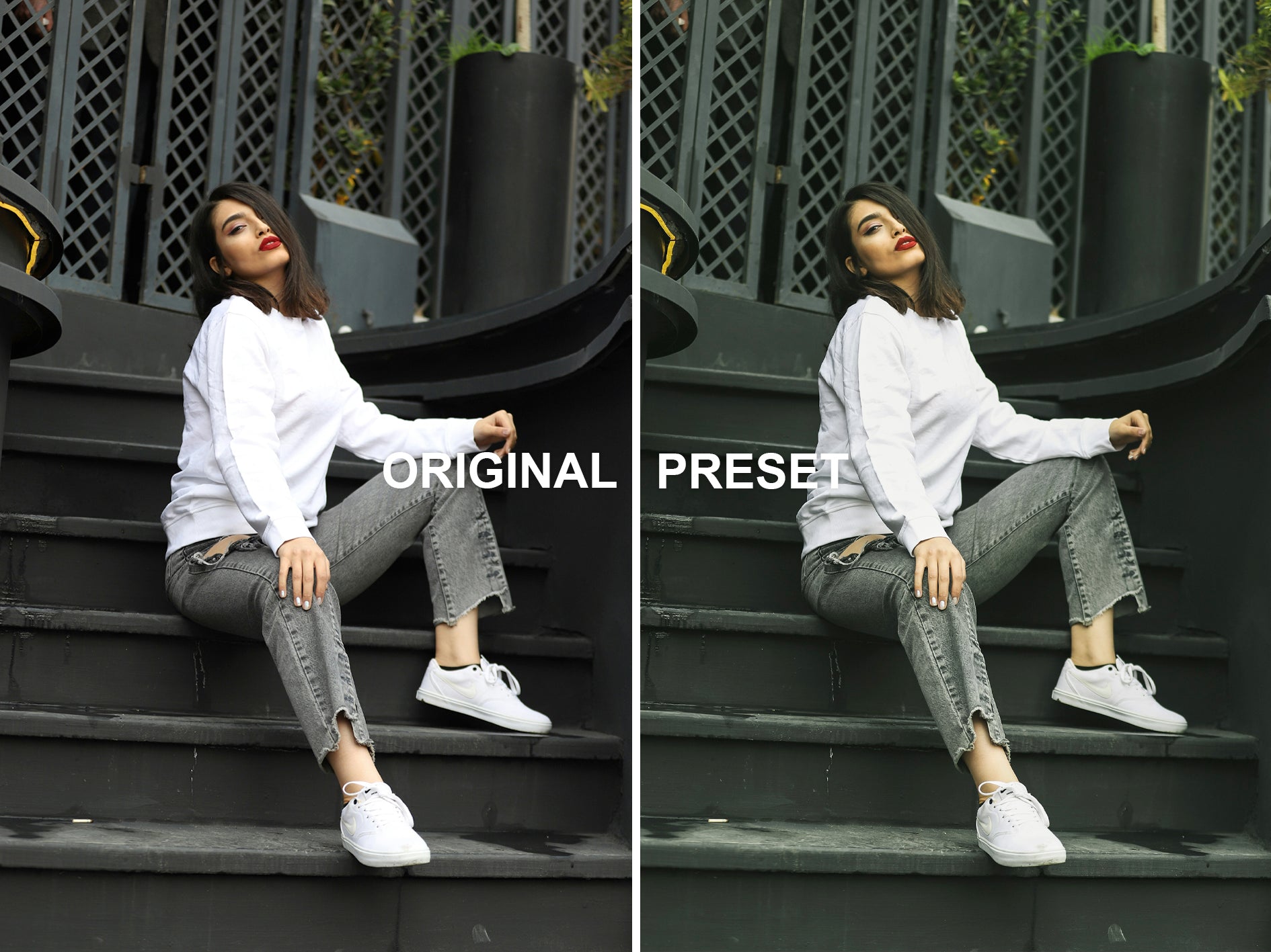 10 SAFARI Lightroom Presets