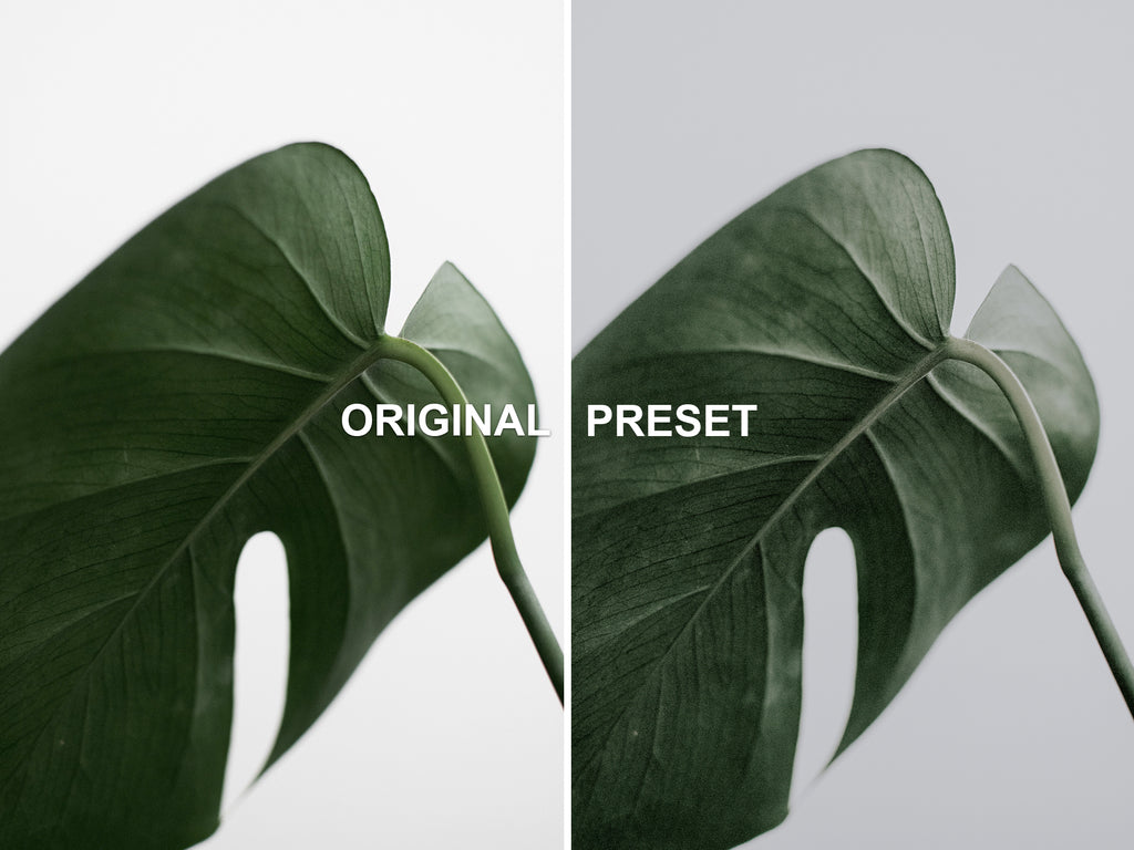 10 BOTANICAL Lightroom Presets