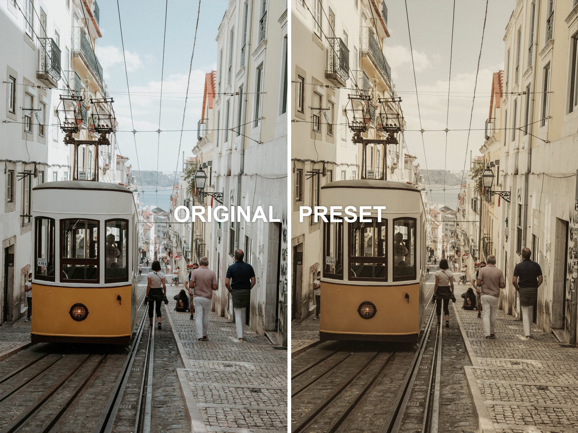 10 CHAMPAGNE Lightroom Presets