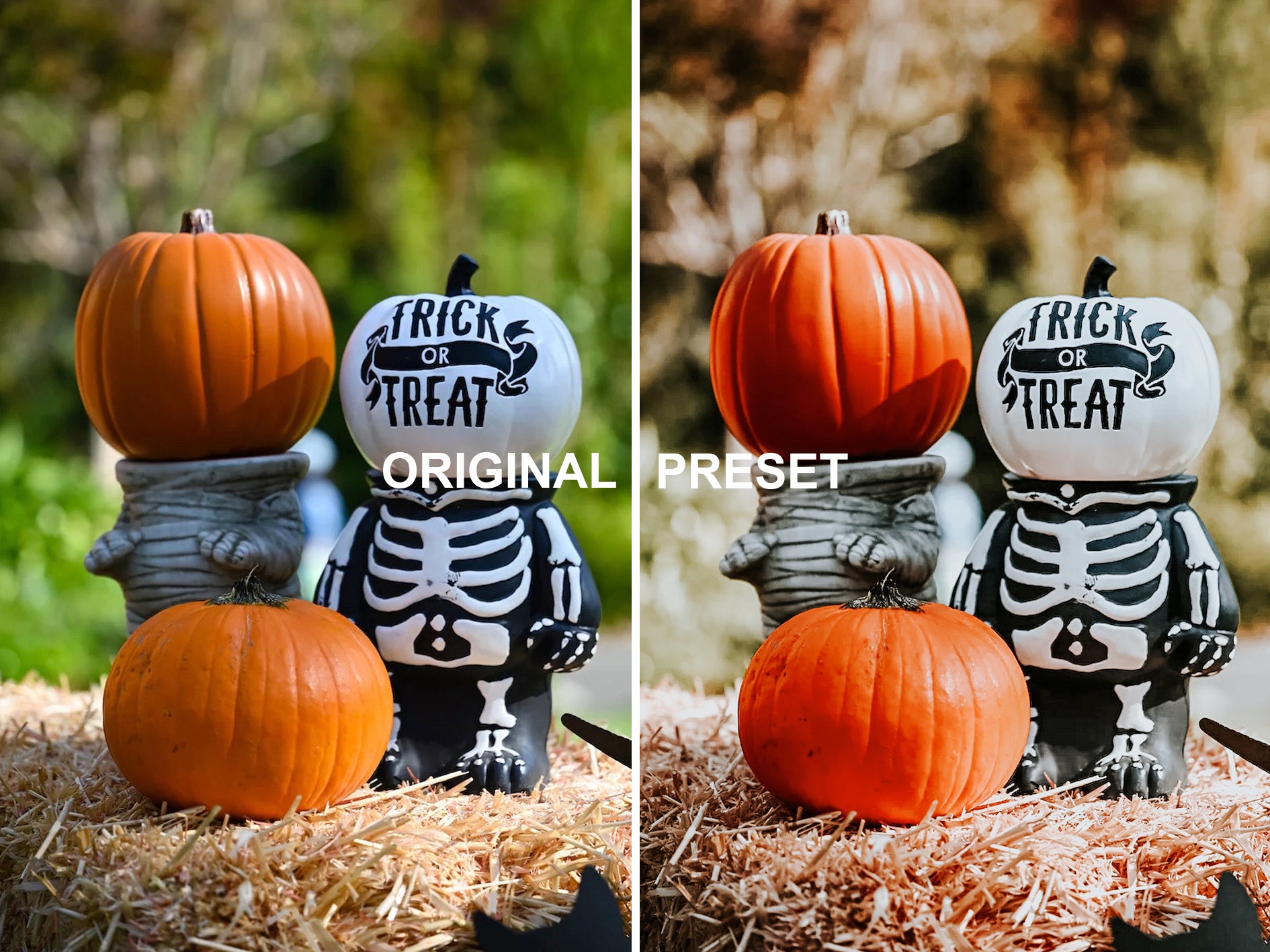 10 HALLOWEEN Lightroom Presets