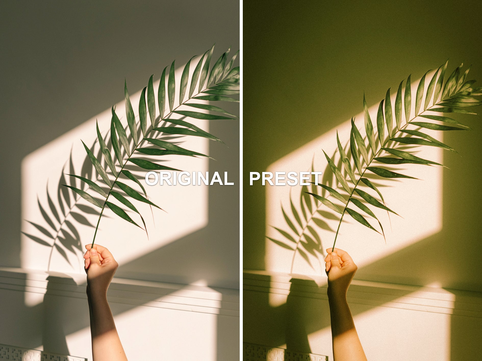 10 KODAK Lightroom Presets