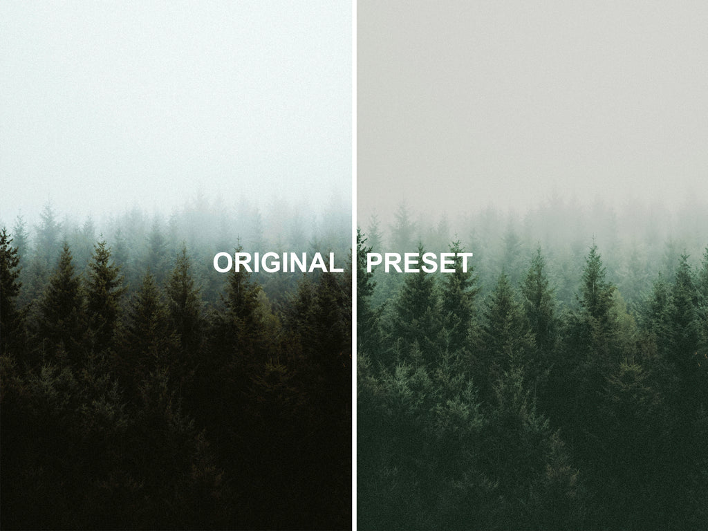 10 RAINFOREST Lightroom Presets