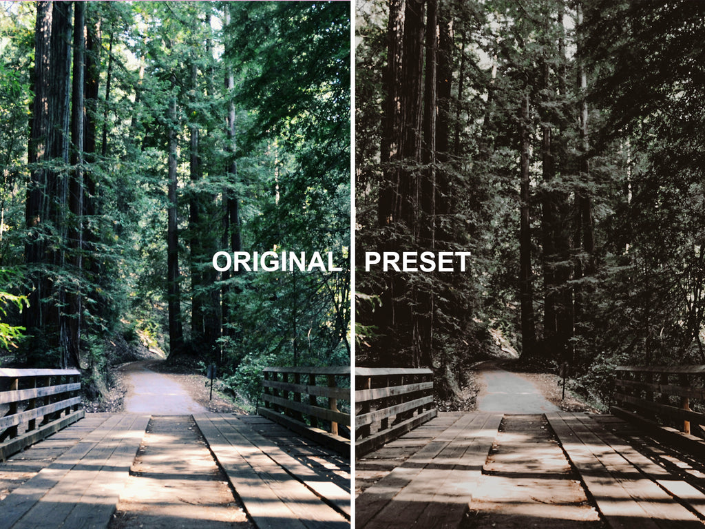 10 TRUFFLE Lightroom Presets