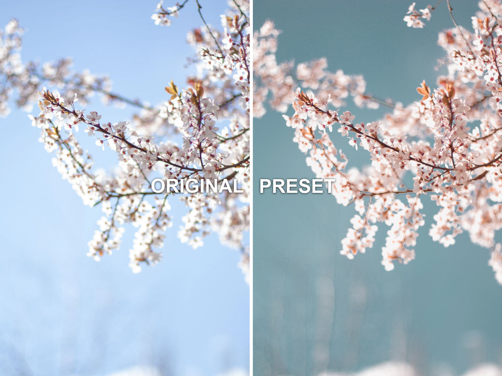 10 BLOSSOM Lightroom Presets