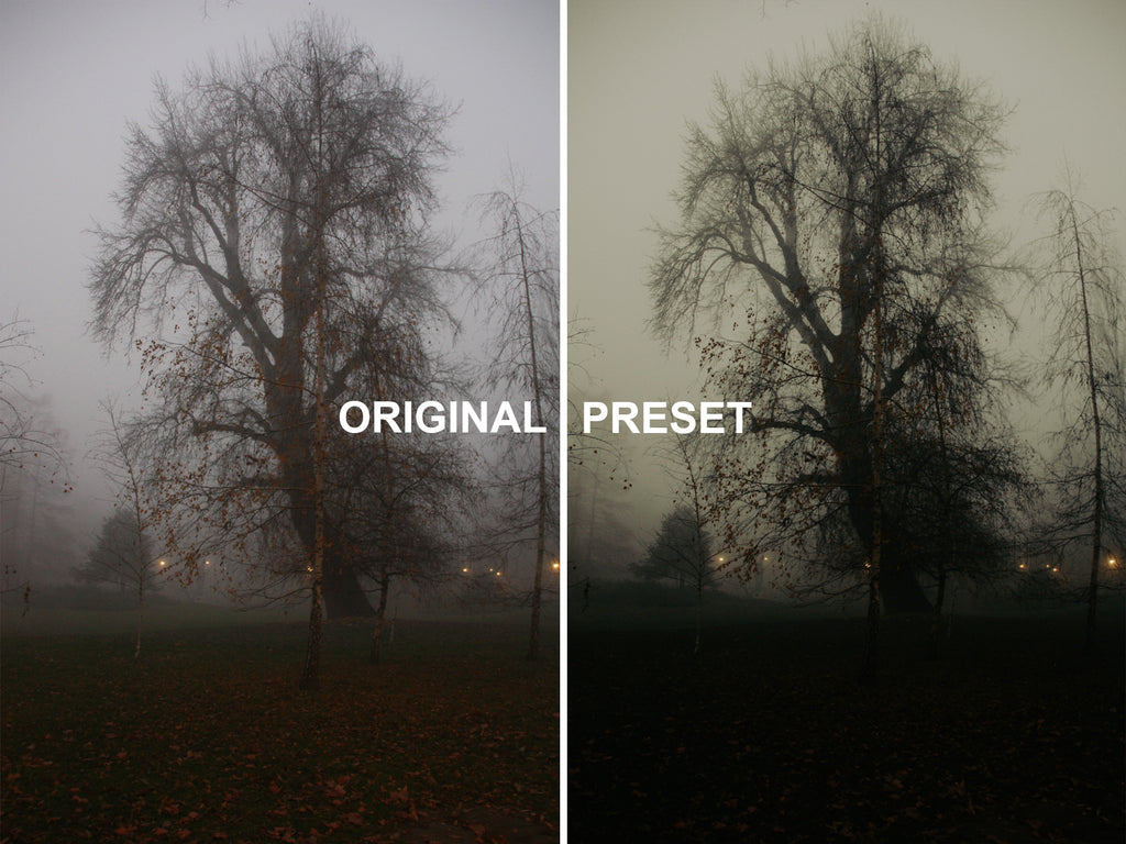 10 FOGHANNA Lightroom Presets