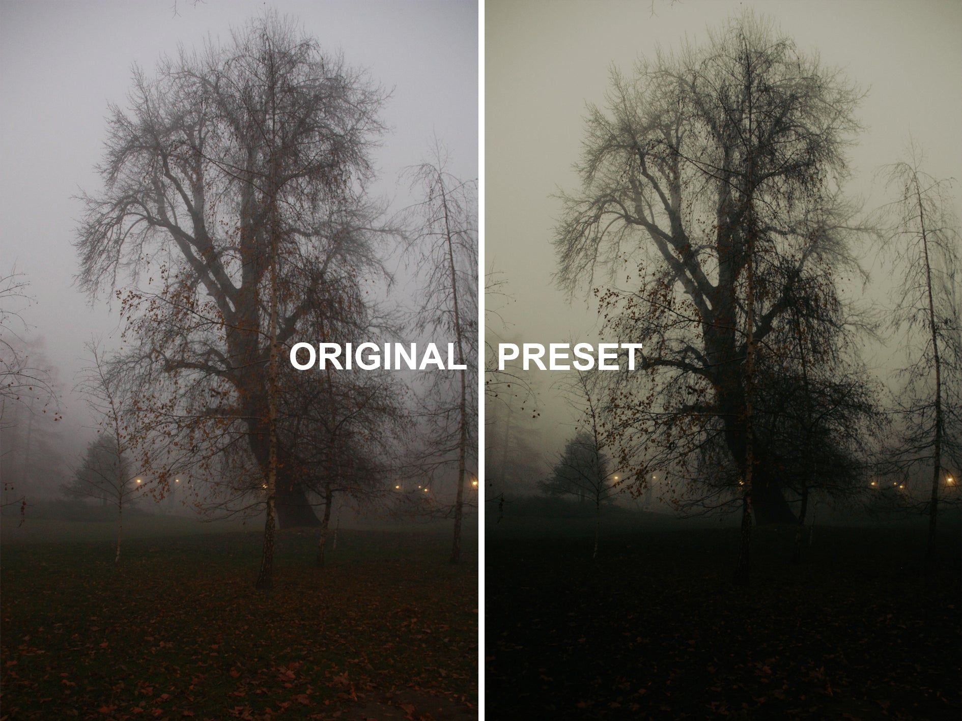 10 FOGHANNA Lightroom Presets
