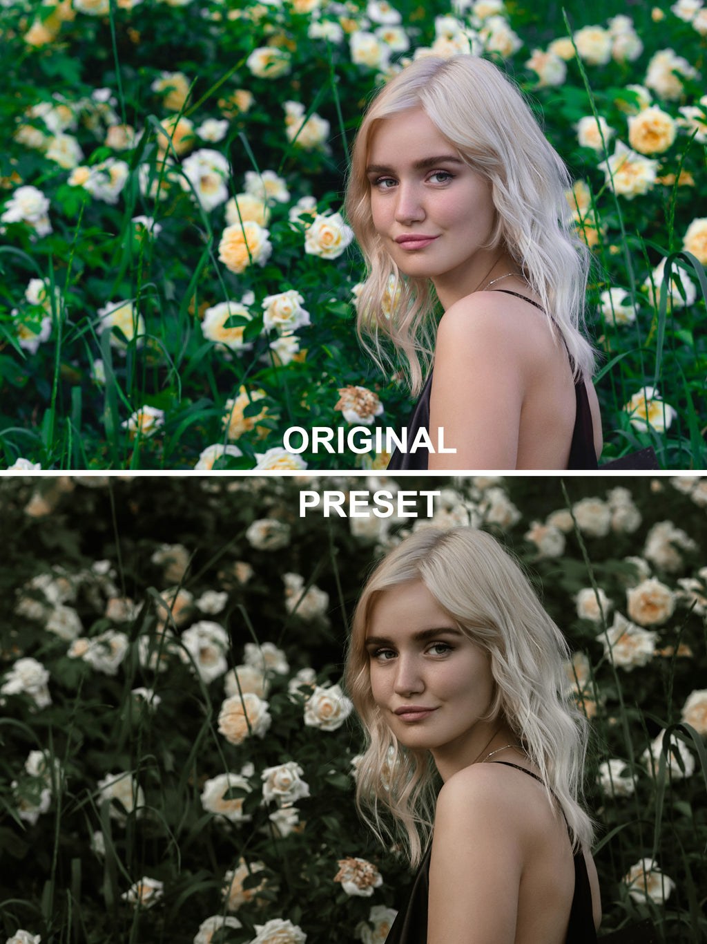 10 DARK GARDEN Lightroom Presets