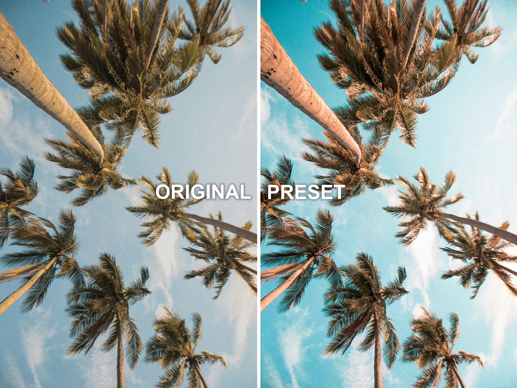 10 TROPICAL Lightroom Presets