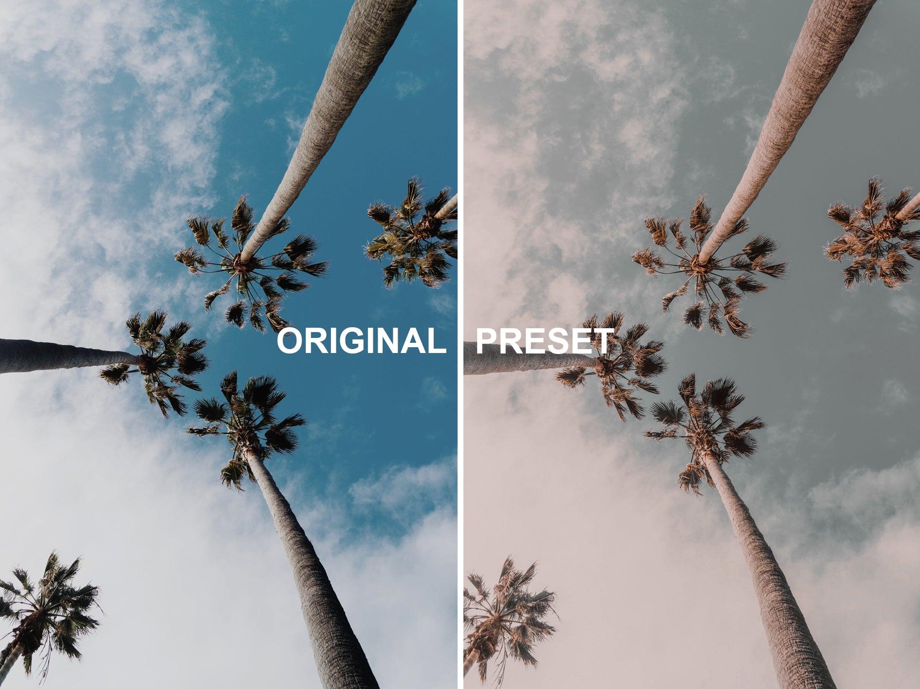 10 NEUTRAL PEACH Lightroom Presets