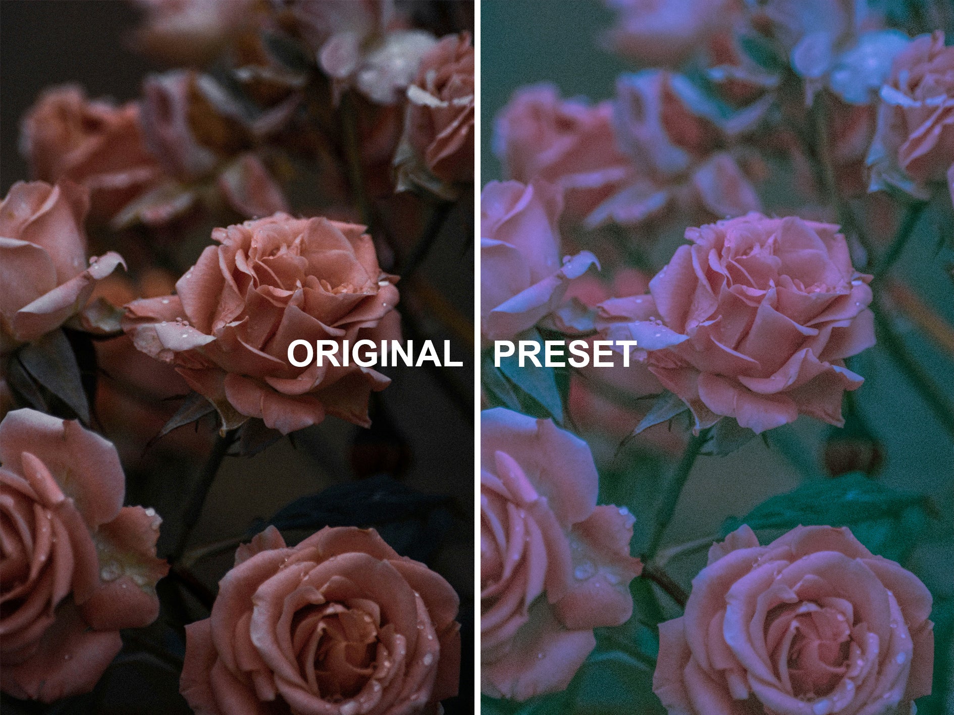 10 LOFI VIBES Lightroom Presets