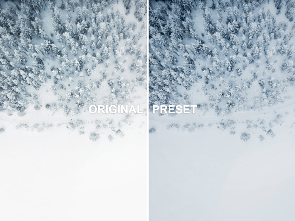 10 WINTER Lightroom Presets