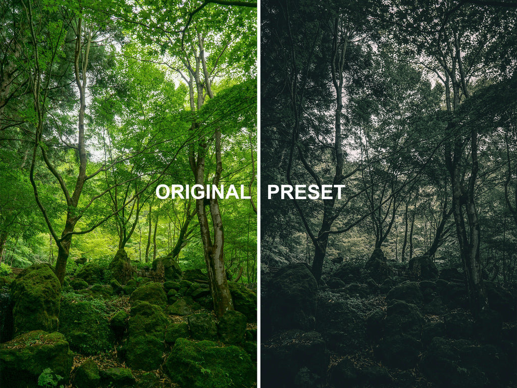 10 DEEP FOREST Lightroom Presets