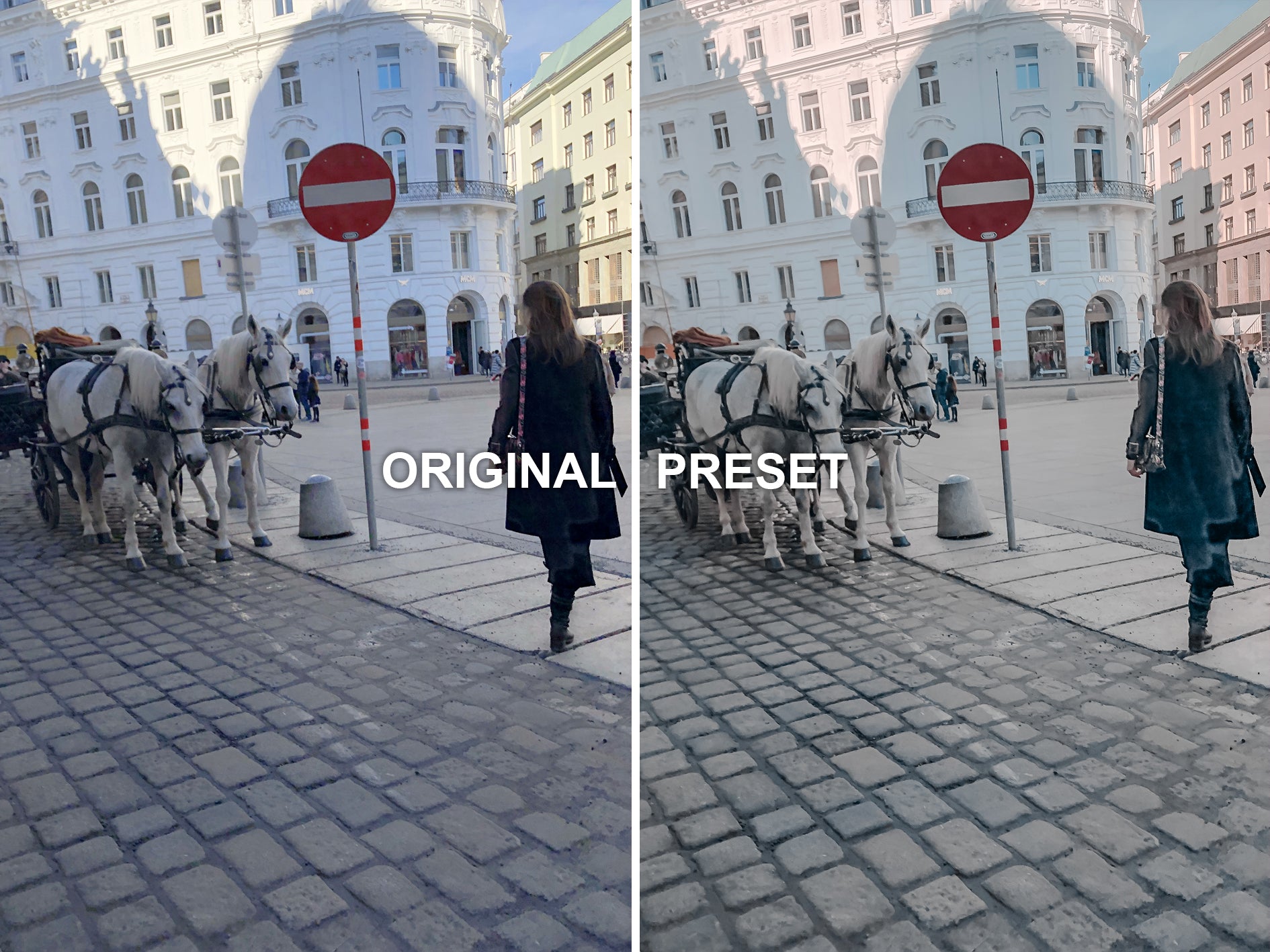 10 VIENNA Lightroom Presets