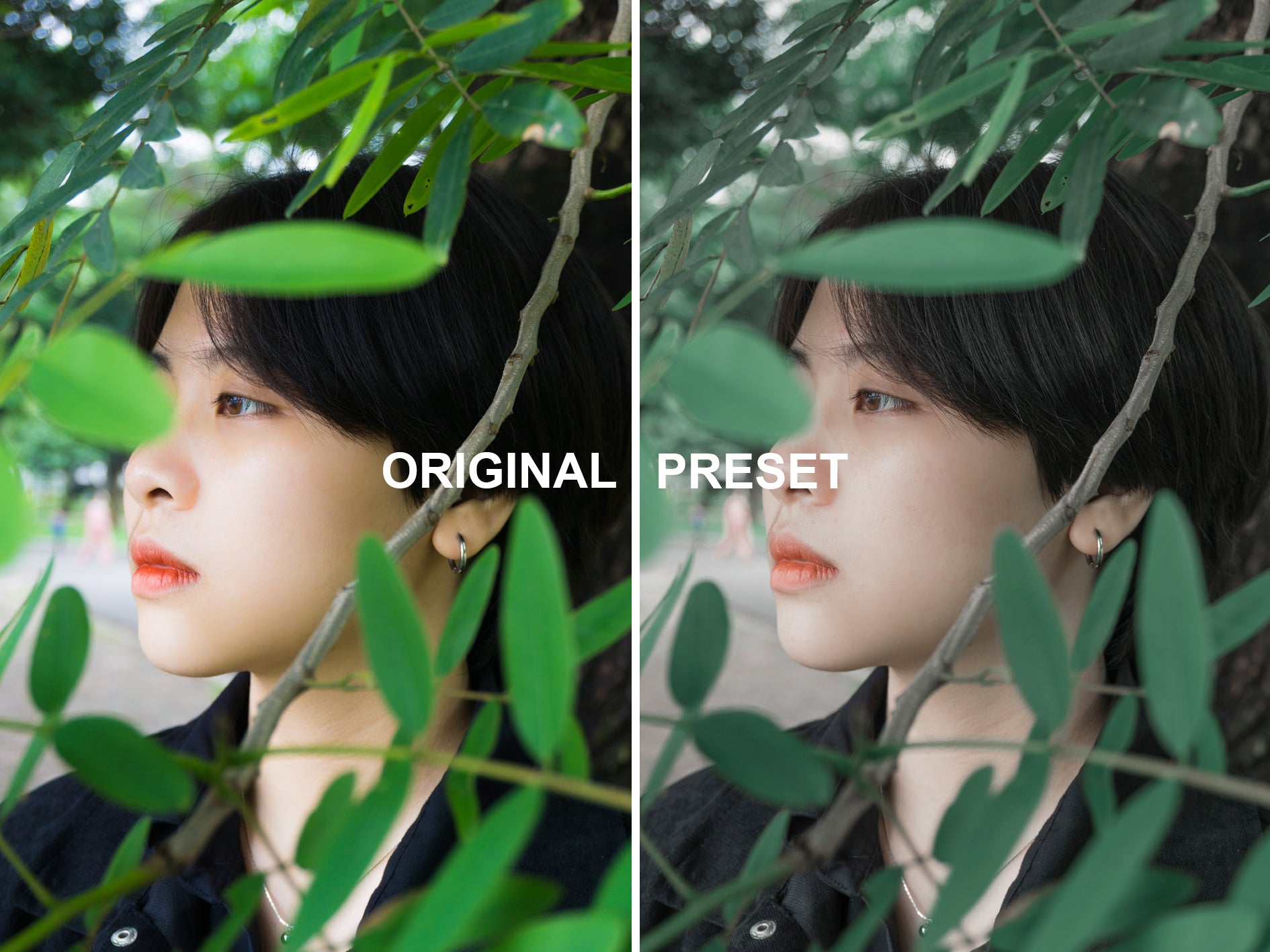 10 MINT GREEN Lightroom Presets