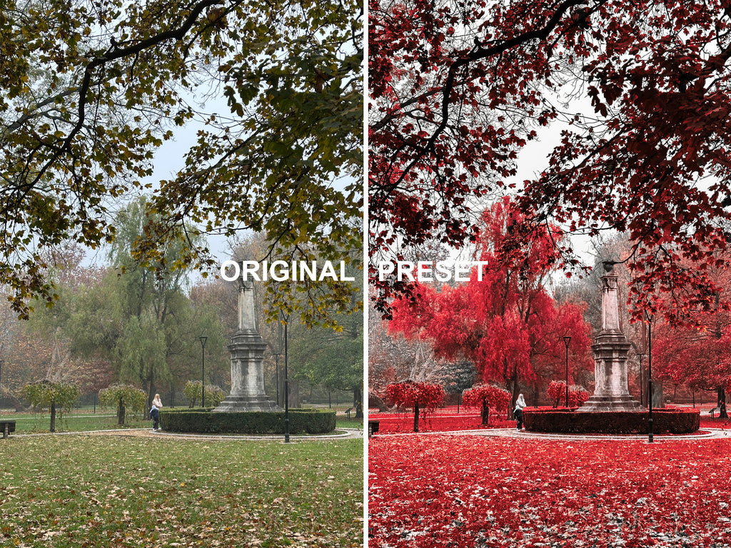 10 INFRARED FILM Lightroom Presets