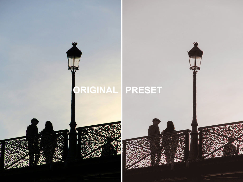 10 FADED ROSE Lightroom Presets